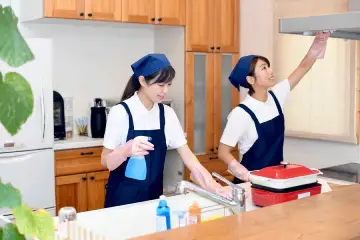 Regular Cleaning